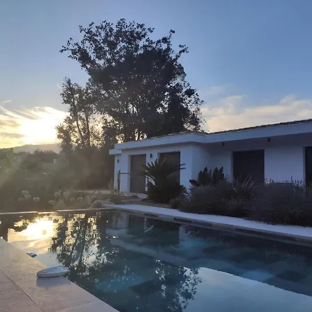 Avec Piscine Au Milieu Des Bois